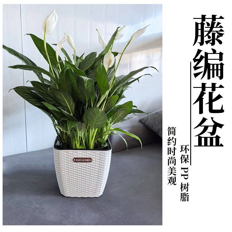 树脂简约懒人水培自动吸水小花盆