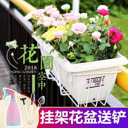 栏杆花盆壁挂爱丽思阳台种菜花架