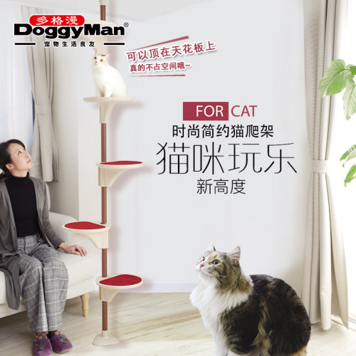 时尚简约猫爬架多格漫