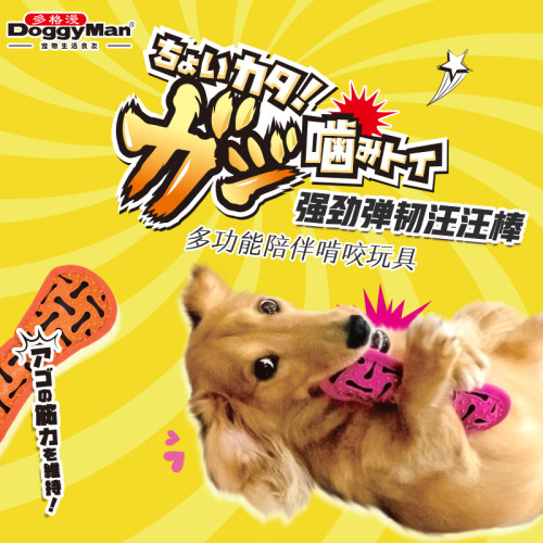 日本多格漫狗狗啃咬响声强劲汪汪