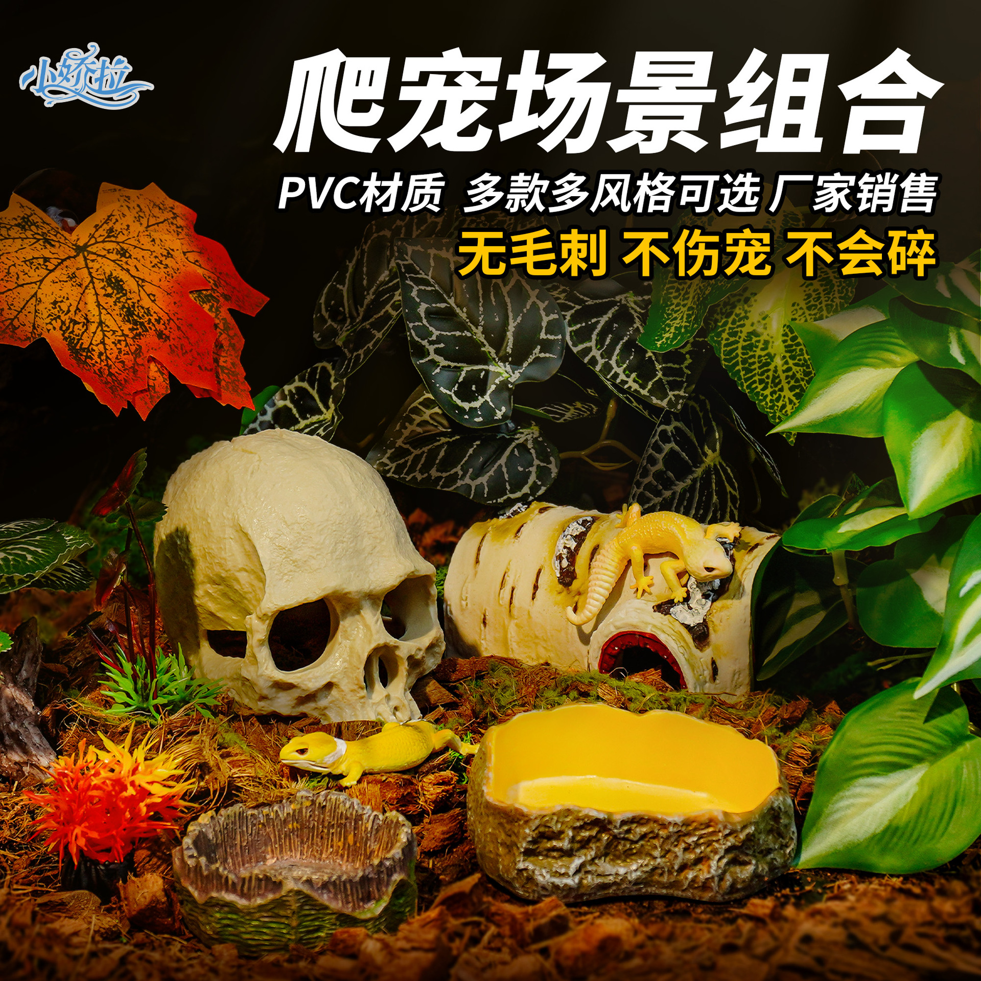 爬虫蜥龟蜴变色龙热带雨林造景
