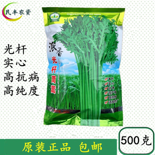 茼蒿种子四季播浓香小叶光杆茼蒿种子500g 皇帝菜 青菜蒿子秆蓬蒿