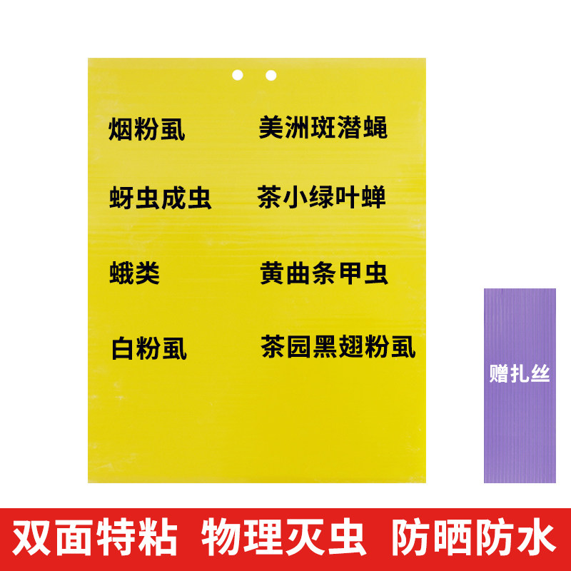 粘虫板大棚专用黄板双面小黑飞果蝇诱捕器黄蓝诱虫板农用月季蓟马怎么样,好用不?