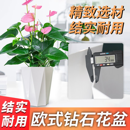 pp树脂材质北欧简约风大号加厚