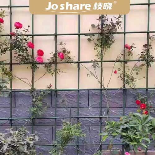 花架爬藤支架靠墙爬藤架花架