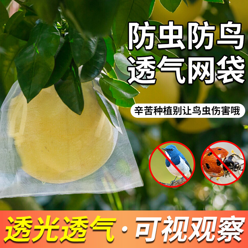 水果套袋果实网袋桃子葡萄丝瓜芒果苦瓜防鸟防虫保护袋透气网套 - 实物图