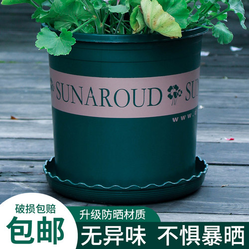 塑料加厚加仑盆月季绣球