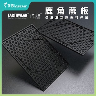 花信鹿角蕨板种植板附生植物专用壁挂板防霉防开裂树脂耐用高颜值