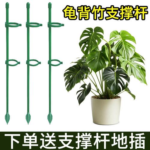 龟背竹番茄辣椒西红固定杆爬藤园艺花架花支撑架植物防倒伏支撑杆