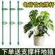 龟背竹番茄辣椒西红固定杆爬藤园艺花架花支撑架植物防倒伏支撑杆
