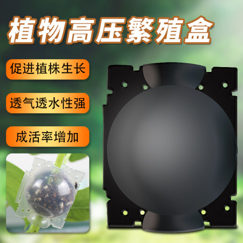 高压繁殖盒控根器扦插嫁接