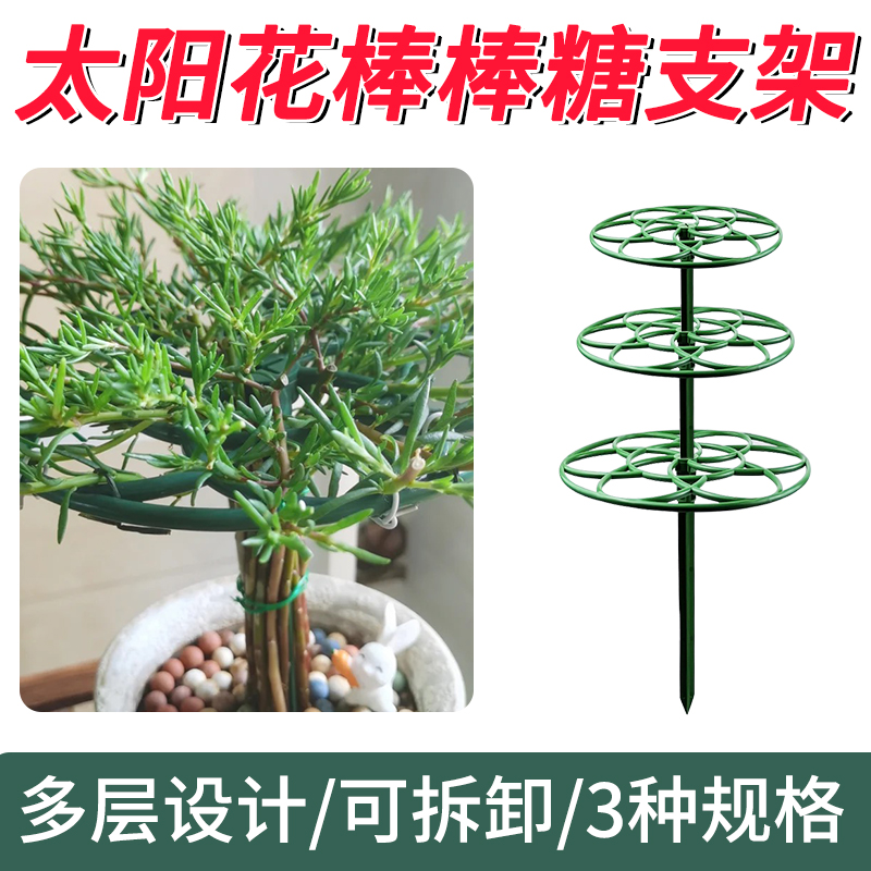 太阳花造型支架爆盆爆花