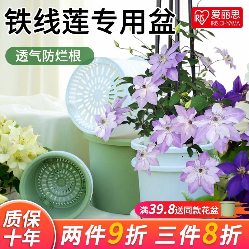 爱丽思Deepot盆栽家用青山树脂加仑盆绿萝铁线莲爱丽丝塑料花盆