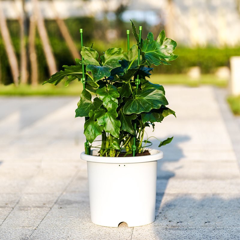 爬藤架园艺花园植物花支架花架藤蔓支柱铁线莲月季攀爬架盆栽-封面