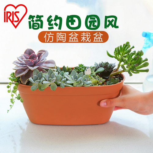 爱丽丝加厚简约风盆栽盆多肉花盆