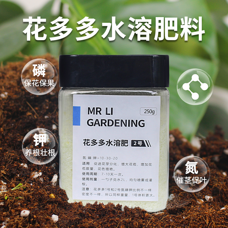 玫瑰月季花花朵朵盆栽奥绿肥