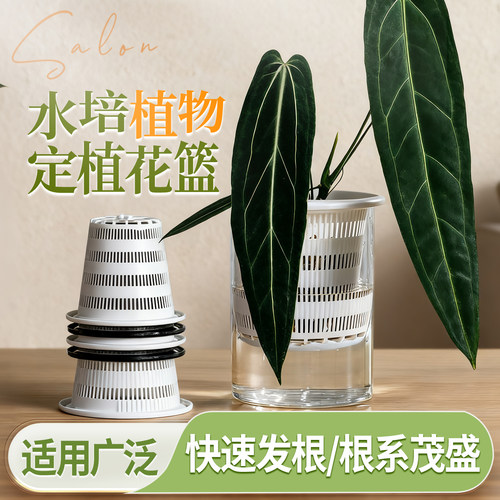 龟背水培篮植物固定篮塑料圆形树脂大鱼缸水养花盆控根种植内挂篮