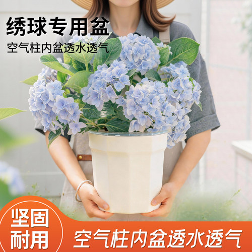 自吸水懒人花盆分离式套盆可土培可水培加厚树脂绣球龟背竹种植盆