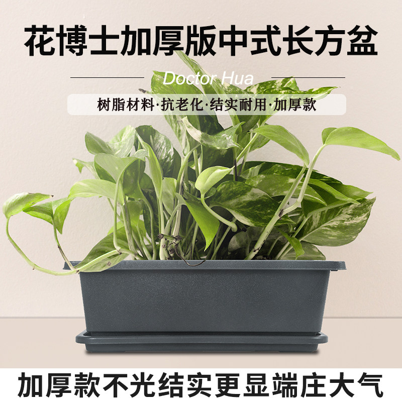 PP树脂简约长方形加厚耐用
