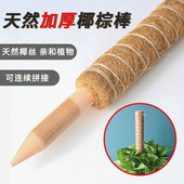 绿萝龟背竹支撑杆攀爬柱椰棕棒绿萝固定架植物爬藤花架棕榈柱椰丝