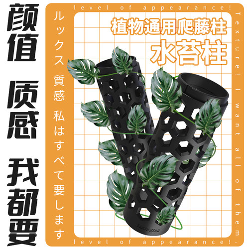 花信水苔柱龟背竹热植蔓绿绒附生兰花通用爬藤柱简约设计感实用