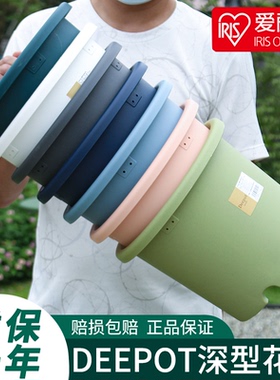 爱丽思Deepot盆栽家用青山树脂加仑盆月季绣球多肉爱丽丝塑料花盆