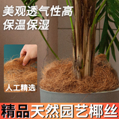 进口天然椰丝铺面花盆土装 饰陶粒盆栽棕榈盖面草透气保湿 垫底材料