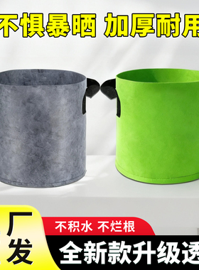 无纺布美植袋种植袋加厚耐用绿色灰色阳台蘑菇种菜种花育苗袋楼顶