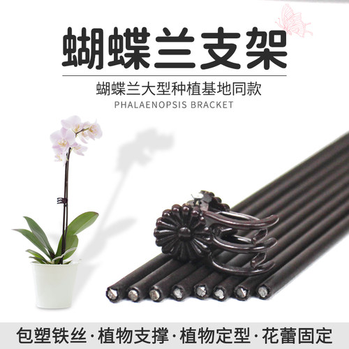 蝴蝶兰无品牌园艺支撑支架铁丝