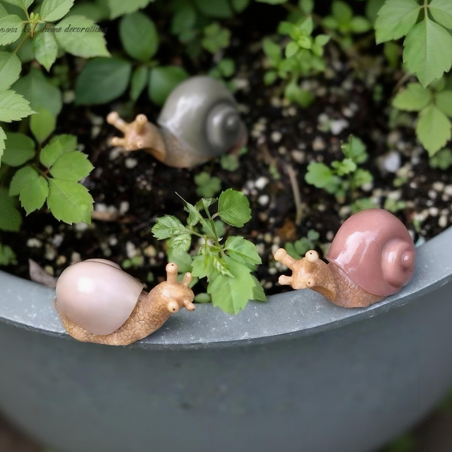 仿真蜗牛树脂摆件微景观