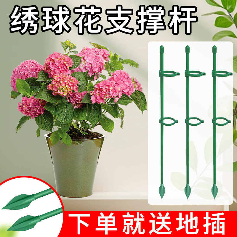 龟背竹番茄绣球西红固定杆爬藤园艺花架花支撑架植物防倒伏支撑杆