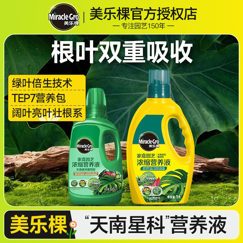 美乐棵天南星科彩叶芋专用营养液龟背竹海芋花肥观叶植物盆栽肥料