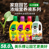 美乐棵营养液天堂鸟月季 绣球玫瑰水培植物肥料家用蔬菜通用有机肥