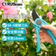 花剪植物园艺剪刀修枝剪家用树枝花草修剪工具园林花枝盆栽剪子