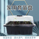 塑料透明育苗盒保湿 保温育苗盘三件套扦插育苗箱多肉培育种子带盖