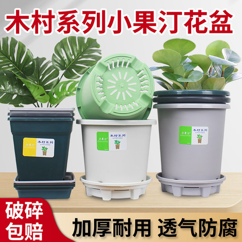 性价比非常高的花盆！！