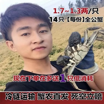 盘锦河蟹稻田蟹辽宁包邮水产大闸蟹鲜活醉蟹现货15只全公手提礼盒
