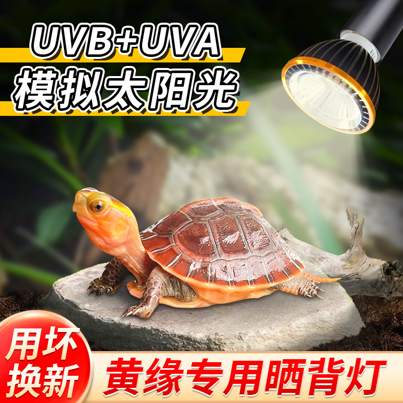 黄缘龟专用晒背灯乌龟uva uvb灯架半水龟发色灯全光谱太阳灯补钙