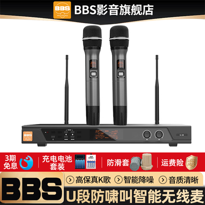 BBS无线话筒一拖二麦克风
