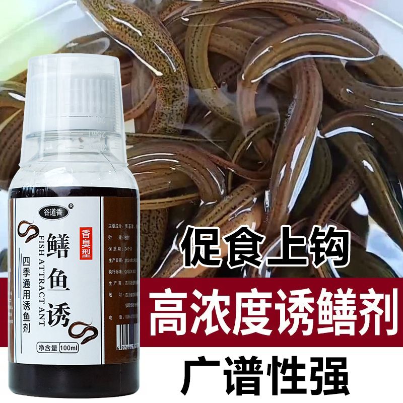鳝鱼诱饵黄鳝小药高浓度