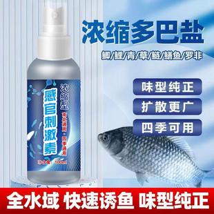 【限拍1单】主播同款饵料感官刺激素100毫升/瓶全水域通用