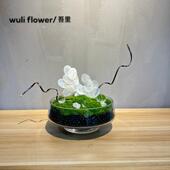 饰样板间软装 永生苔藓仿真绿植景观 茶几壁龛台面花艺装 花艺摆件