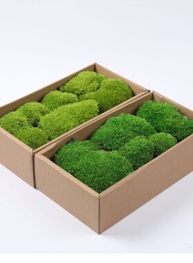 仿真苔藓草皮假青苔植物墙配材装饰品摆件室内造景绿植盆栽草坪
