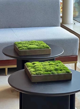 定制铜锤纹压花金属装饰方盒永生苔藓盆景  样板房酒店装饰柜桌面