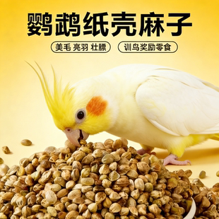 大颗粒纸壳麻子鹦鹉鸟粮薄皮火麻籽玄凤牡丹小太阳奖励零食鸟饲料