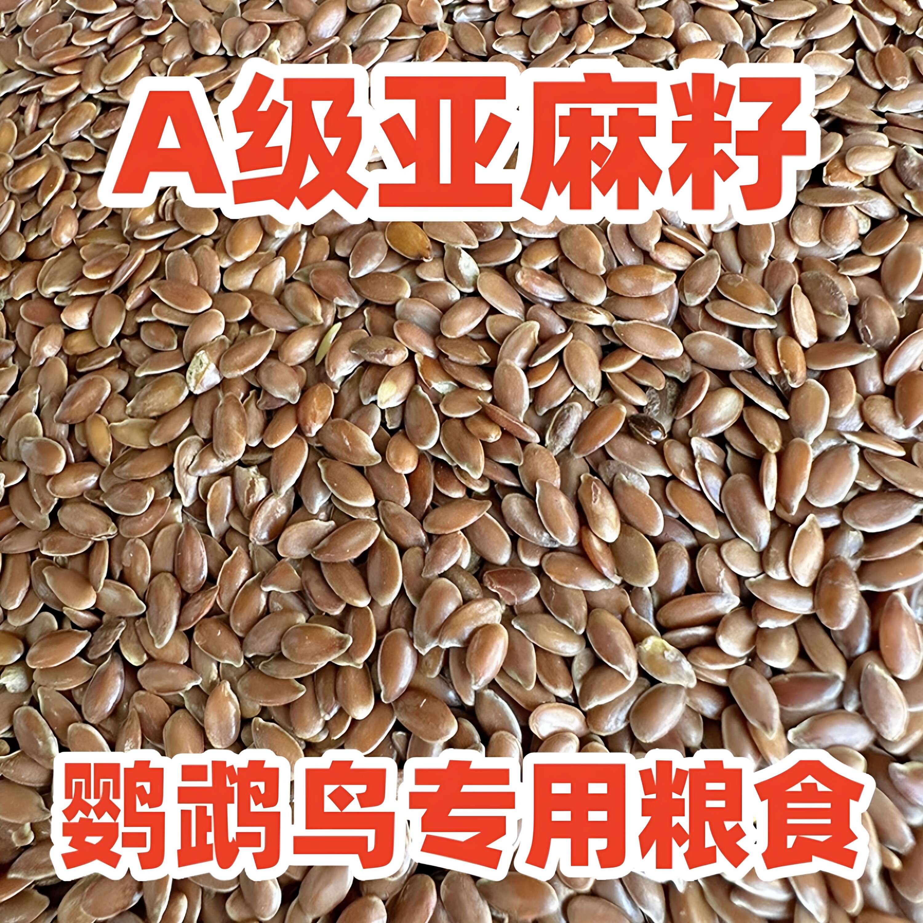 新货纯天然亚麻籽鹦鹉专用鸟粮
