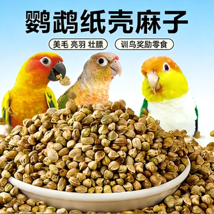 纸壳麻子鹦鹉粮专用大颗粒纸皮麻籽天水甘肃特产小太阳鸽粮鸟粮食