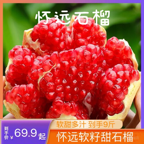 怀远石榴突尼斯软籽石榴红石榴甜石榴非怀远玉石籽石榴