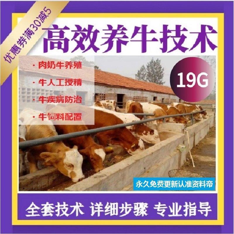养牛教程技术视频教学肉牛奶牛人工授精饲养牛病防治饲料配制管理