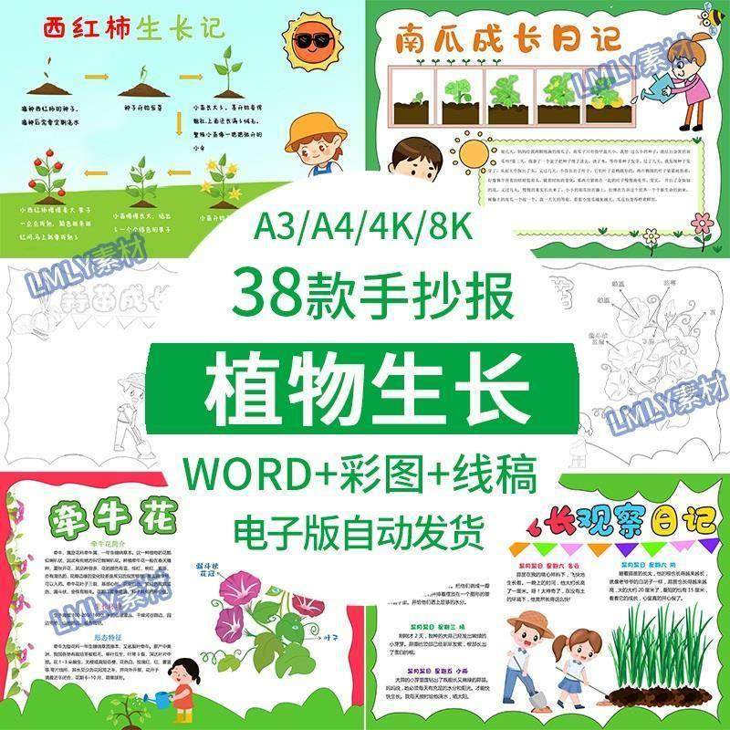 小学生观察日记植物生长手抄报水仙花豆芽大蒜蘑菇生长电子版模板,办公设备/耗材/相关服务,刻录盘个性化服务,淘宝优惠券,粉丝福利购,淘宝优惠卷